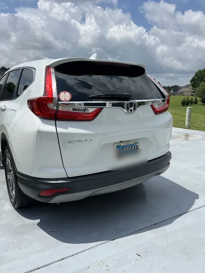 Rear of a white Honda CR-V after a full exterior detail